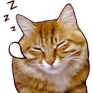 Meet your Posher, Trin